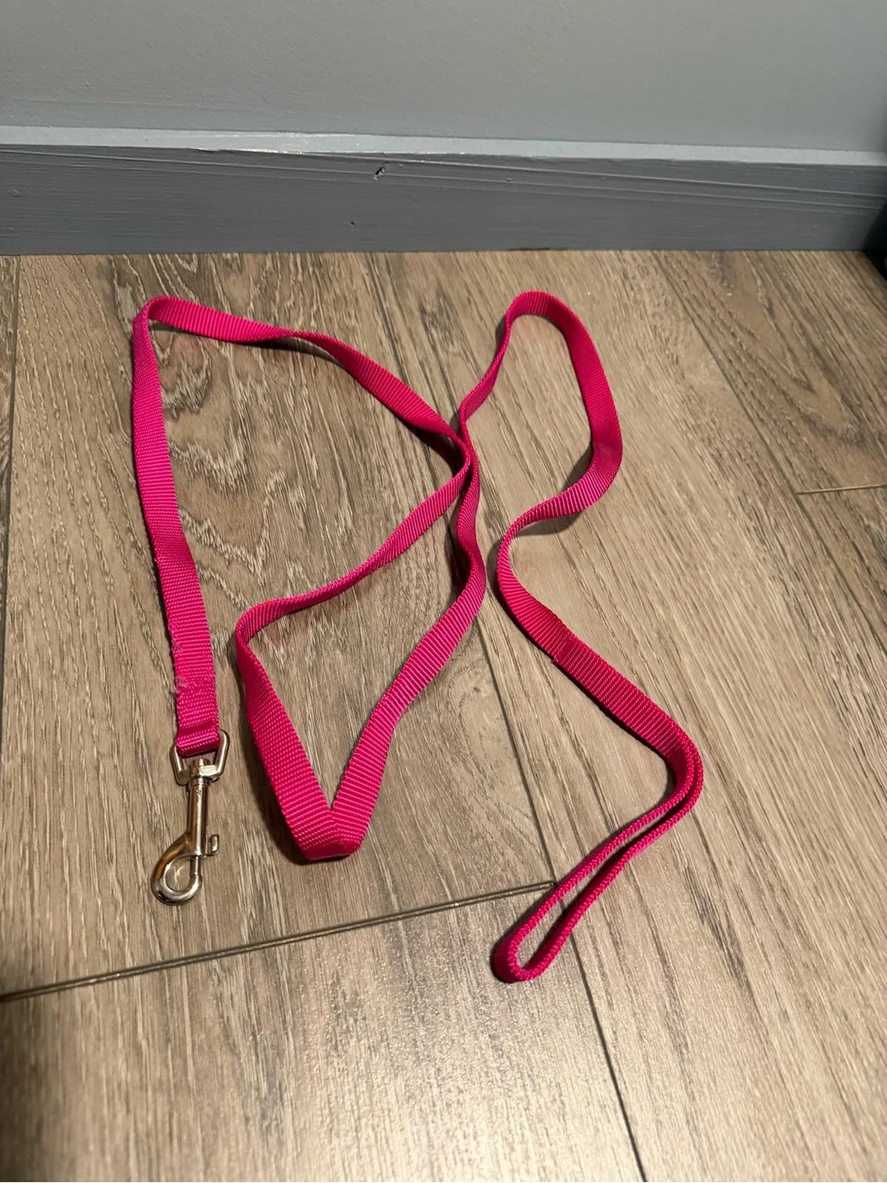 Lot of dog leashes